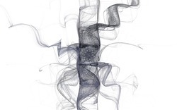 2014 12 15 Shadow Play 026-white.jpg